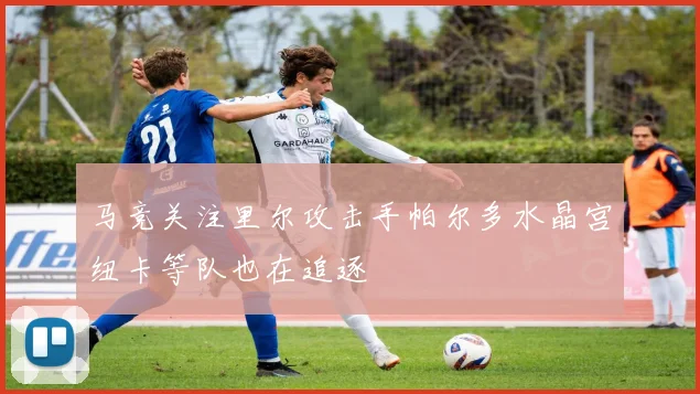 马竞关注里尔攻击手帕尔多水晶宫纽卡等队也在追逐